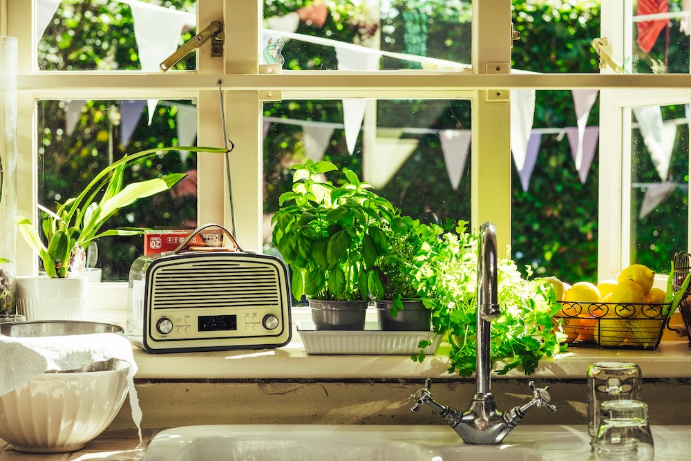 An English country kitchen with plants in Window sill 
